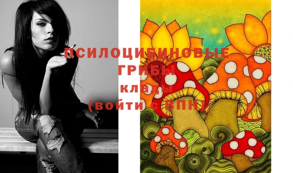 гашиш Бородино