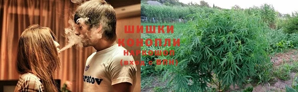 хмурый Бронницы