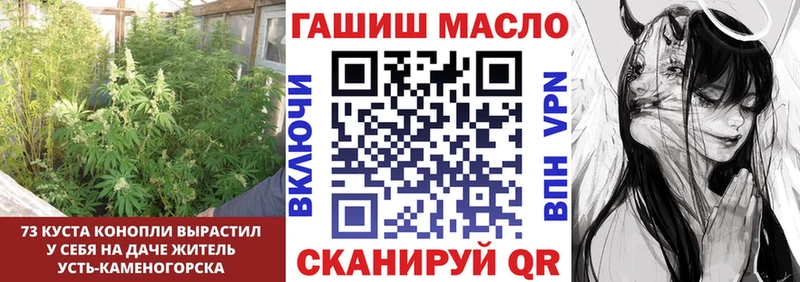 Купить  Менделеевск  ТГК концентрат 