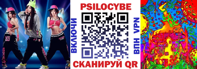 Купить  Менделеевск  Псилоцибиновые грибы Psilocybine cubensis 